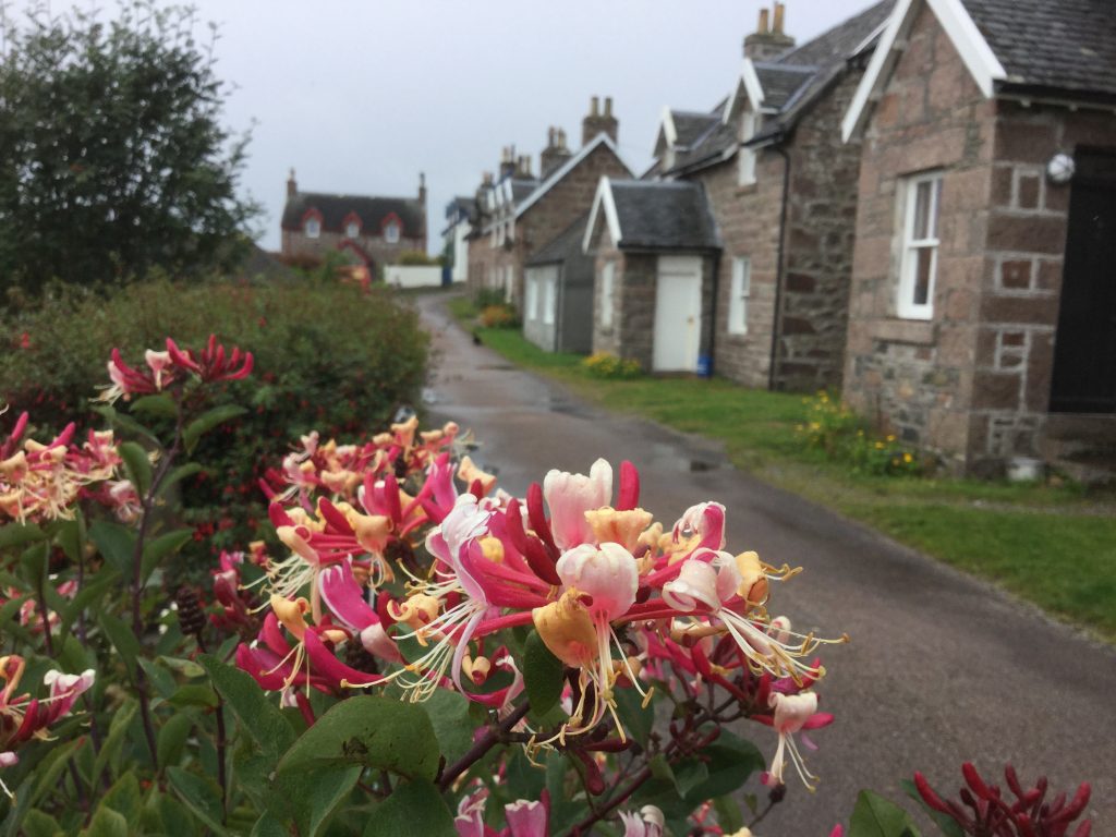 Isle of Iona copyright bror Haavar S